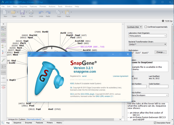 GSL  Biotech  SnapGene(分子生物学软件)
