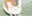 猫咪老师表情包
