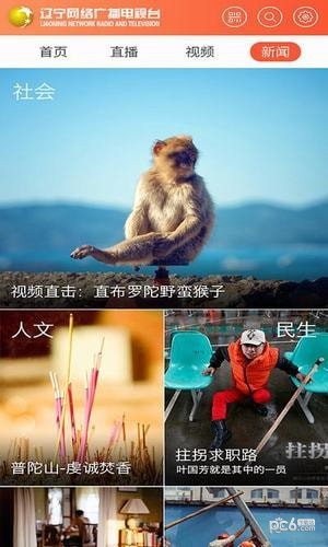 辽宁广播电视台app下载