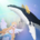 深海水族馆官方正版2025最新下载-深海水族馆(Tap Tap Fish)官方正版最新安装包v1.79.0