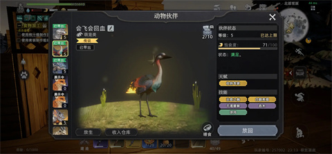 荒原曙光