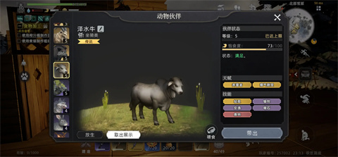 荒原曙光