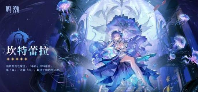 鸣潮坎特蕾拉声骸及词条怎么选择